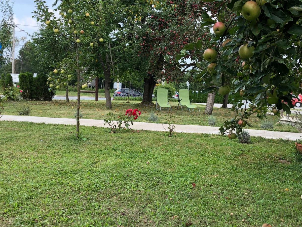 Guest House Ema Grabovac  Exterior photo